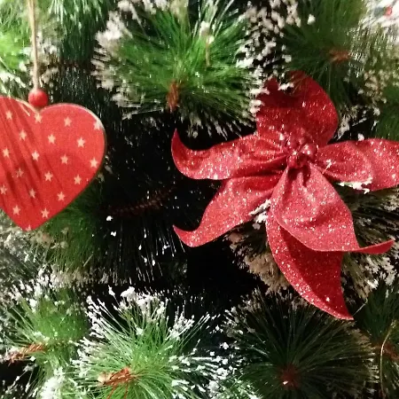 La Di 1400 Limone Piemonte