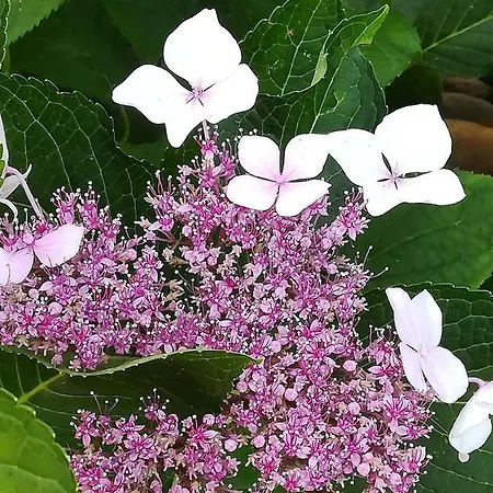 Отель La Di 1400 *