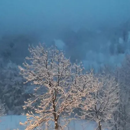 La Di 1400 * Limone Piemonte