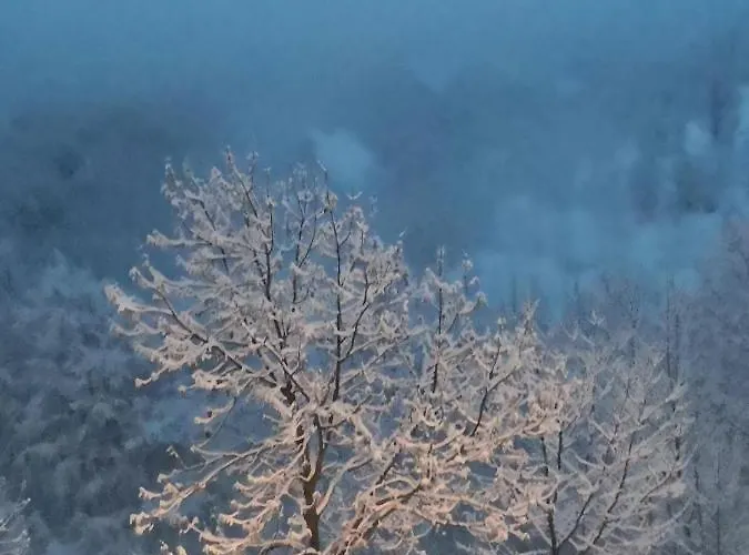 La Di 1400 * Limone Piemonte